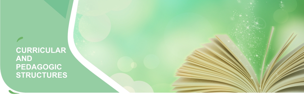 CURRICULAR-PEDAGOGIC-STRUCTURES